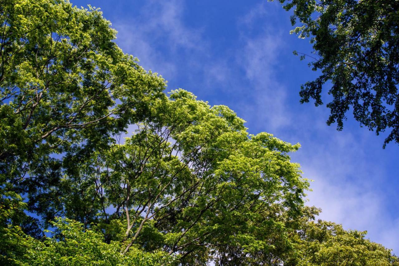 Hauska Karuizawa Otel Saku Dış mekan fotoğraf